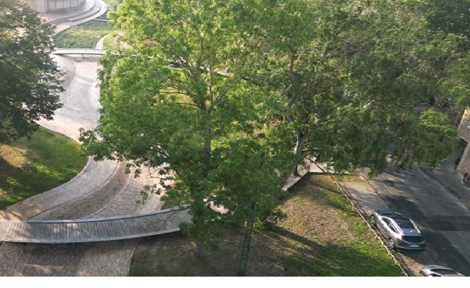 Byggebranchen ser grønt 2024